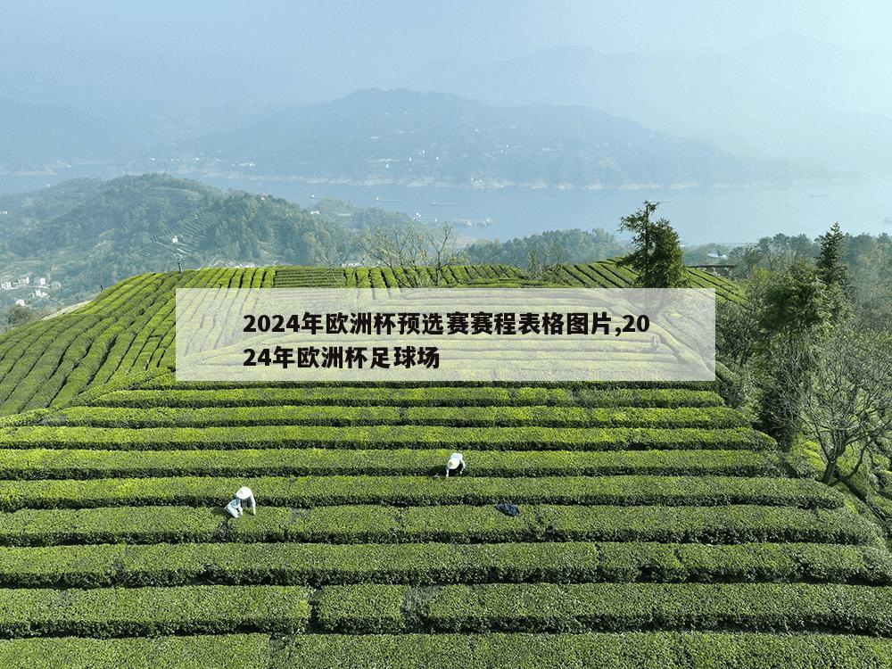 2024年欧洲杯预选赛赛程表格图片,2024年欧洲杯足球场