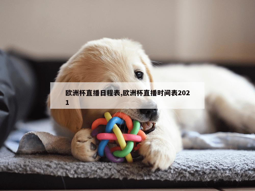 欧洲杯直播日程表,欧洲杯直播时间表2021