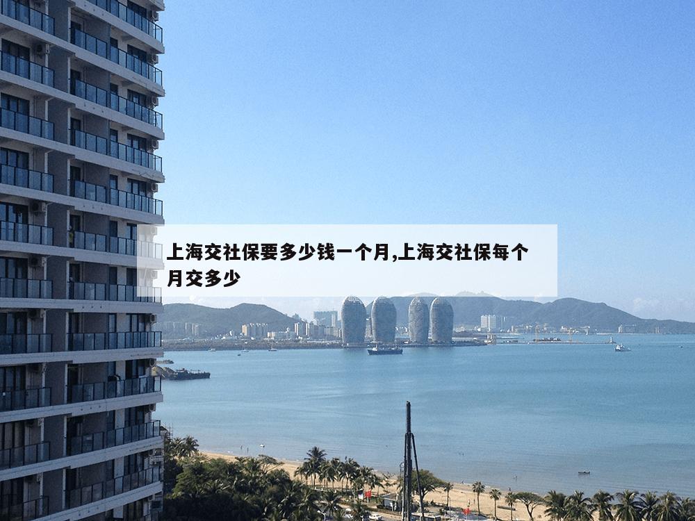 上海交社保要多少钱一个月,上海交社保每个月交多少