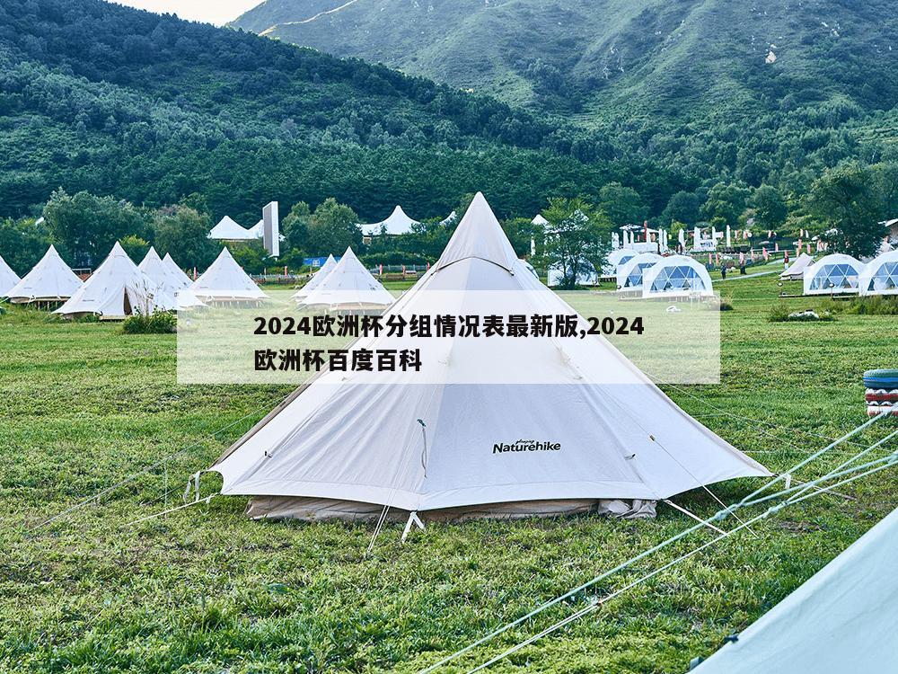 2024欧洲杯分组情况表最新版,2024欧洲杯百度百科