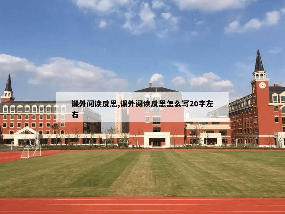 课外阅读反思,课外阅读反思怎么写20字左右