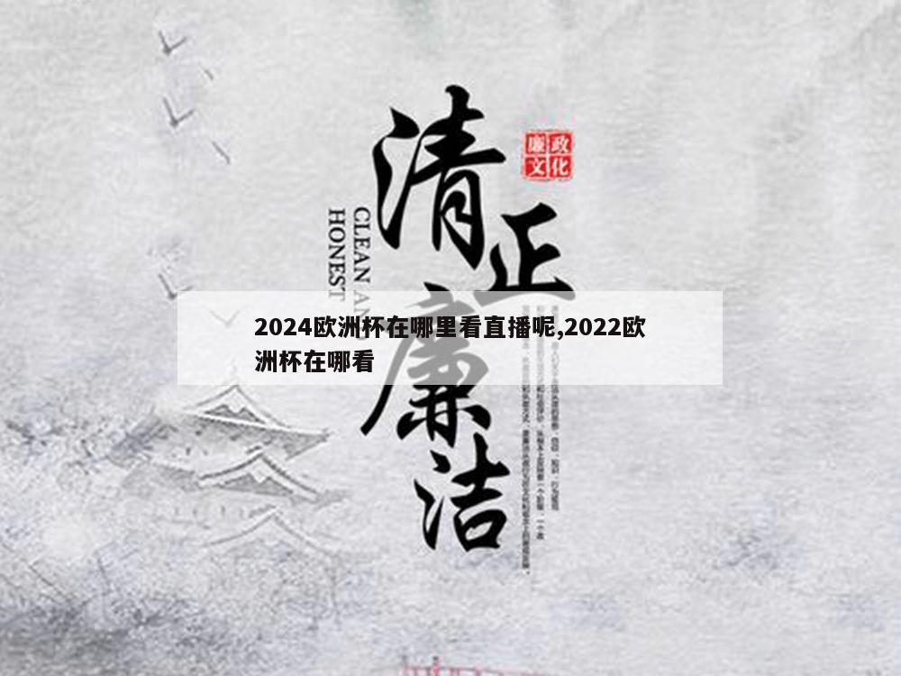 2024欧洲杯在哪里看直播呢,2022欧洲杯在哪看