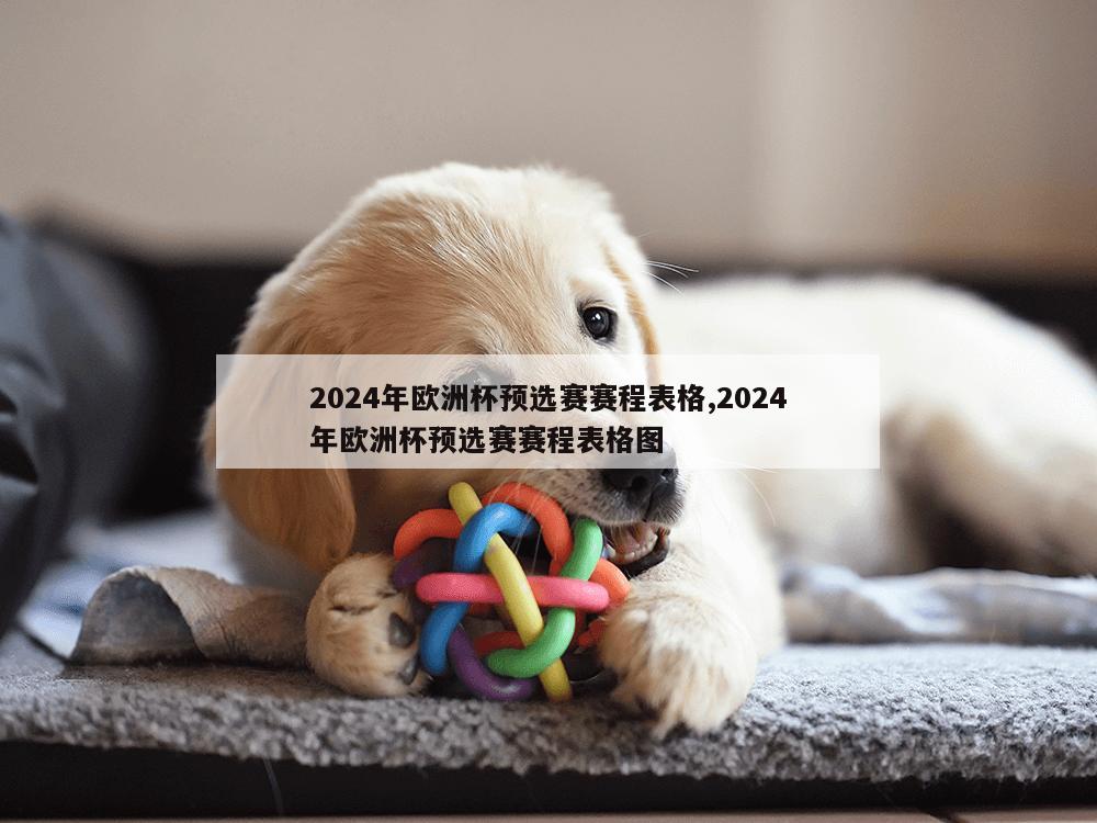 2024年欧洲杯预选赛赛程表格,2024年欧洲杯预选赛赛程表格图