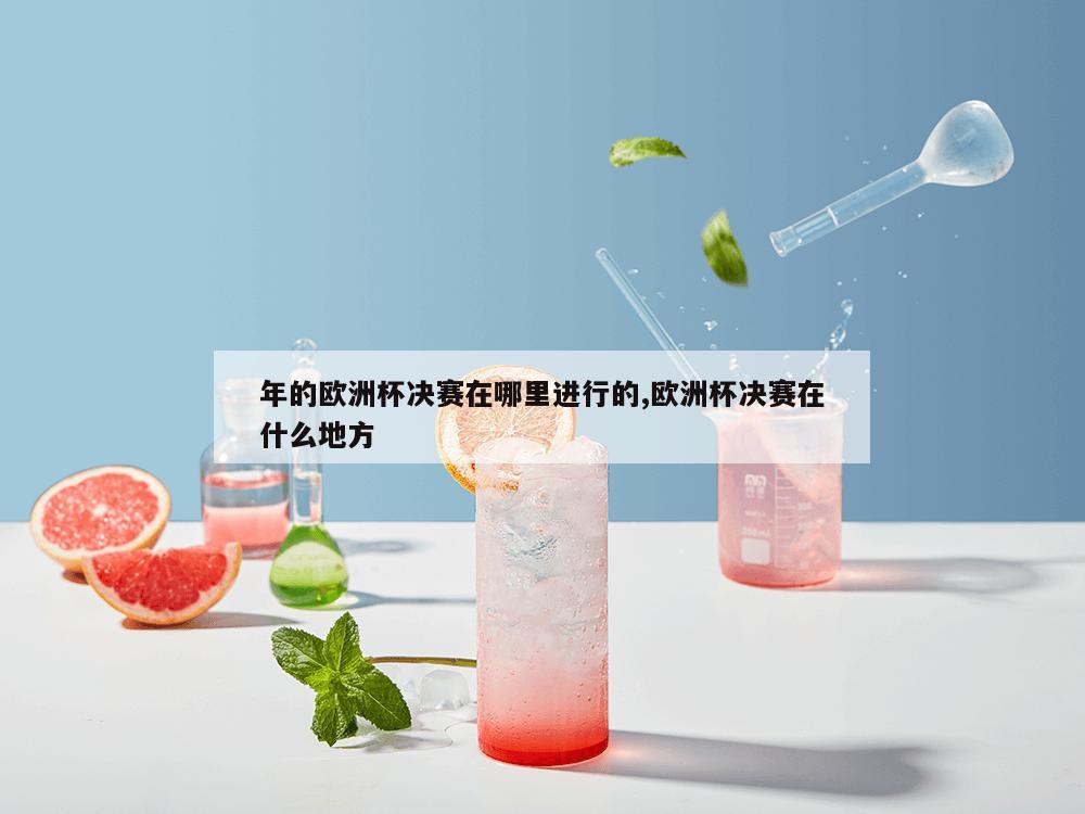 年的欧洲杯决赛在哪里进行的,欧洲杯决赛在什么地方