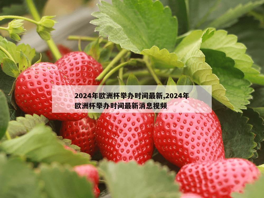 2024年欧洲杯举办时间最新,2024年欧洲杯举办时间最新消息视频